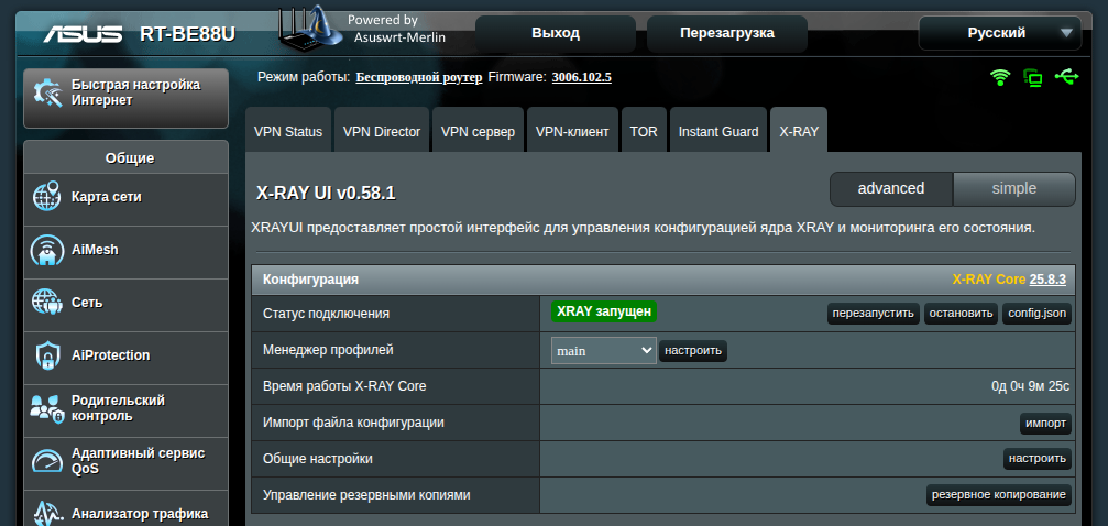 xray