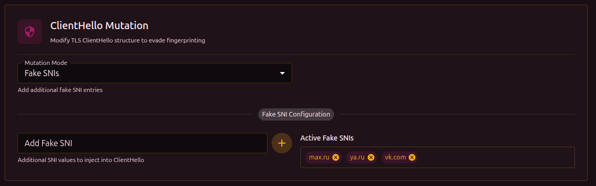 fake sni
