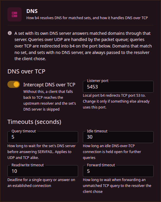 DNS settings